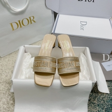 Christian Dior Slippers